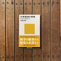 文明探偵の冒険 今は時代の節目なのか　講談社現代新書