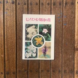 ビーナスライン周辺の花