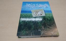 さとうきび畑の唄