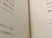 植田正治写真集　SHOJI UEDA：PHOTOGRAPHS