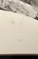 山羊の肺　平敷兼七写真集　沖縄1968-2005年　（初版）