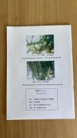 藻場のはなし