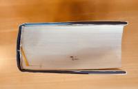 月愛三昧 親鸞に聞く