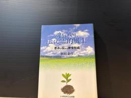 魂をいやし、 はぐくむ霊的風土 : 恵みが伝わる教会形成