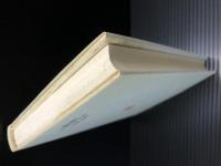 21　ダニエル書　THE DAILY STUDY BIBLE