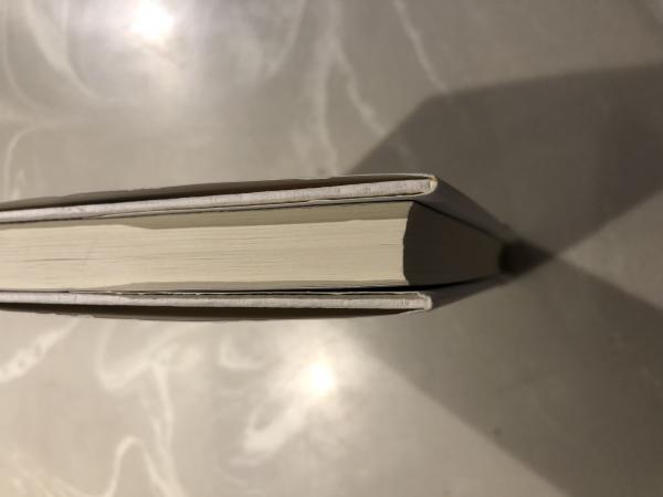 聖書がわかれば世界が読める　石井 希尚 聖書がわかれば世界が読める: Bible Reality | 石井 希尚 |本
