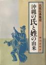 氏姓伝承集成　沖縄の氏と姓の由来 