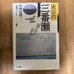 東京湾三番瀬　海を歩く