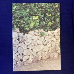 活路開拓ビジョン実現化事業報告書 平成12年度