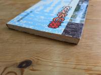 炎のめざめ : ユタになった元国体選手の霊能修業記