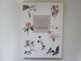 シーボルト・コレクション　日本植物図譜展