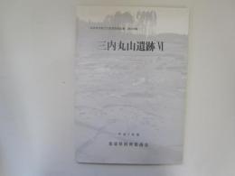 青森県埋蔵文化財調査報告書第205集　三内丸山遺跡Ⅵ　