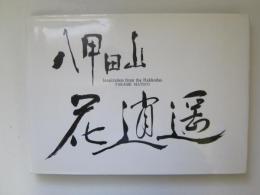 八甲田山　花逍遥