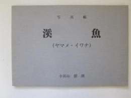 写真帳　溪魚　(ヤマメ・イワナ)