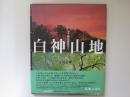白神山地　ブナ原生林を行く