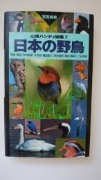 日本の野鳥　山渓ハンディ図鑑 7