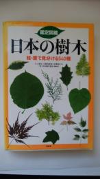 鑑定図鑑　日本の樹木　枝・葉で見分ける540種