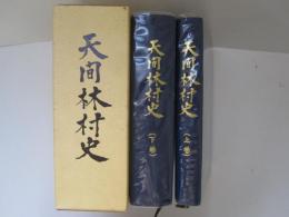 天間林村史　上下(共函)