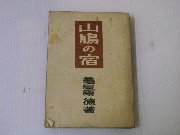 信竜淳二の編み込みスタイル 美容の友社 レアブック ヘア