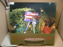 ウィリアム・エグルストン 写真集 Ancient and Modern