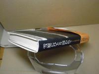 雪原にひとり囚われて : シベリア抑留10年の記録