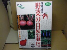 写真で見る野菜の自然栽培