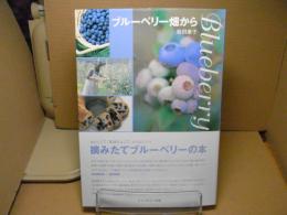 ブルーベリー畑から