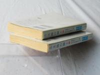 太陽の闘士　上下揃