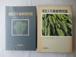 原色日本羊歯植物図鑑