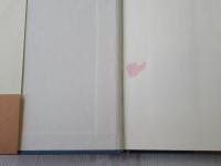 サラサーテの盤