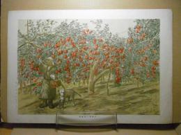 収穫期の林檎園　＜多色石版＞（南郡六郷村） 青森県画譜：昭和8年