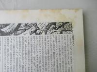 特集ケルト幻想