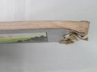 国立公園『十和田写真帳』