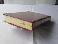 トルストイ全集　全20巻＜全19巻+別巻1巻＞愛蔵決定版