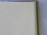 日本基督教団青森松原教会百年史