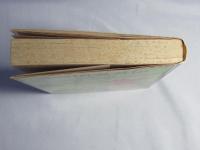 秘録・戦国忍者伝