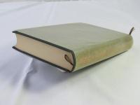 中国の八大小説 : 中国近世小説の世界