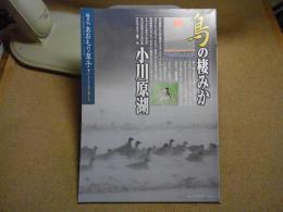 あおもり草子　鳥の棲みか　小川原湖　2007年