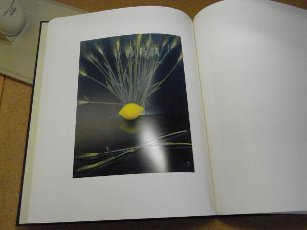 【最安値挑戦】 小館善四郎油彩画集(小館善四郎著) / 古本、中古本、古書籍の イラスト集+原画集