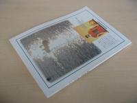 あおもり草子　画家・小館善四郎「懐郷」　60号