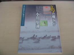 あおもり草子　鳥の棲みか　小川原湖　2007年　172号