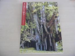 あおもり草子　青森ジャワメキ　パワースポット　2010年　199号
