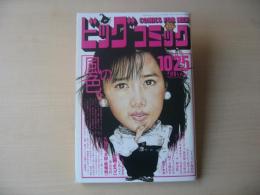 ビッグコミック　昭和63年(1988年)　10月25日　20号