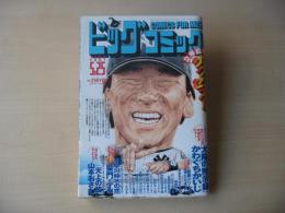 ビッグコミック　2004年(平成16年)　5月25日　10号