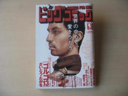 ビッグコミック　2004年(平成16年)　6月10日　11号