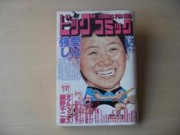 ビッグコミック　2004年(平成16年)　6月25日　12号
