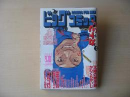 ビッグコミック　2004年(平成16年)　9月10日　17号
