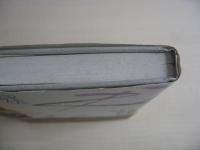 評伝金子鴎亭 : 近代詩文書を拓く