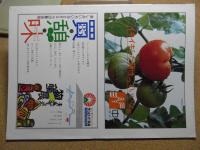 ねぶたまつり　あおもり草子別冊号　1983年/昭和58年
