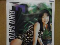 佐藤江梨子 カレンダー　2000　＜表紙込み13枚＞